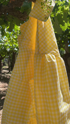 Maxi Camisa VICHY Limón ¡SEGUNDA PRE VENTA! ENTREGA ESTIMADA 17/12