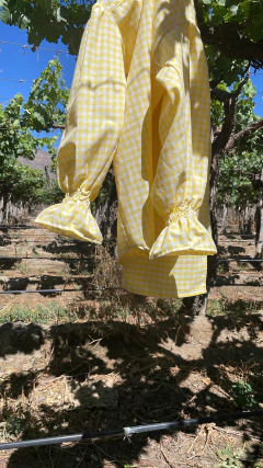 Maxi Camisa VICHY Limón ¡SEGUNDA PRE VENTA! ENTREGA ESTIMADA 17/12 - tienda online