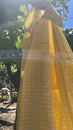 Imagen de Maxi Camisa VICHY Limón ¡SEGUNDA PRE VENTA! ENTREGA ESTIMADA 17/12