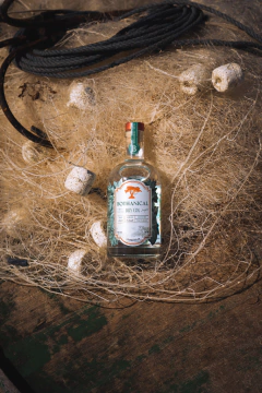 Bothanical Gin 750ml - Bothanical Gin - Premium Dry Gin