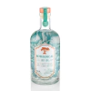 Bothanical Gin 750ml - comprar online