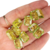 Chaton Verde - Folhinhas de Ouro - 10 Unidades