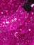 I Pink, Bling, and Be Merry - Jewel Be Bold- OPI GelColor 15 ml en internet