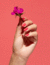 Once and Floral- OPI Nature Strong 15 ml - Distribuidora KOSTINGER