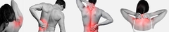 Banner da categoria Anti-inflamatórios Naturais