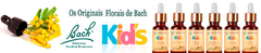 Banner da categoria Linha Kids