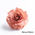 Refil Difusor Alecrim com Rosa de Vime - 500 ml - Cheiro Nativo