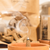 Refil Incenso Cone Bosque - comprar online