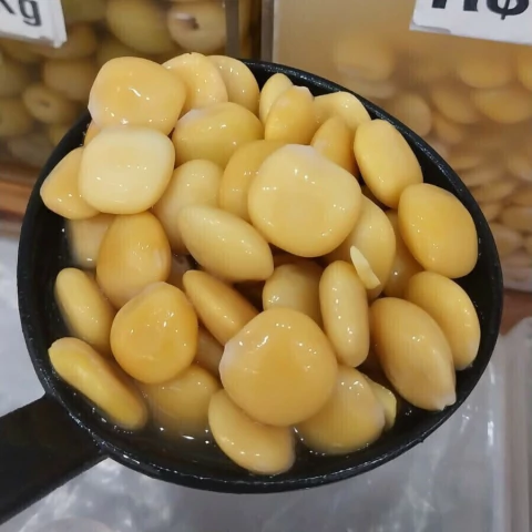 tremoço português a granel de loja de produto naturais emporio santa rita