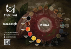 Caixa Coleção - Intensos - Mestiço Chocolates - Da Nossa Floresta à Barra - From Tree to Bar