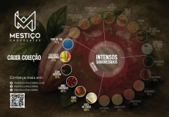 Caixa Coleção - Intensos Saborizados - Mestiço Chocolates - Da Nossa Floresta à Barra - From Tree to Bar