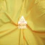 LYCRA DE SEDA AMARILLO