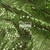 FALSO PAILLETTE VERDE MANZANA 246517