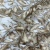 TUL BORDADO BEIGE 3