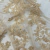 TUL BORDADO BEIGE 14