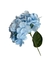 Flor Hortênsia Azul - comprar online