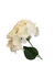 Flor Hortênsia Branca - comprar online