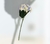 Flor Hortênsia Cores