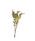 Flores do Campo - comprar online