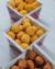 Bolinhas de Queijo ( 20 unidades ) na internet
