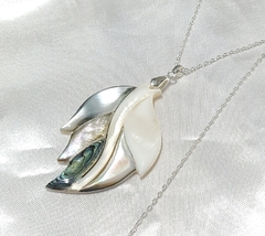 Collar Winter en internet