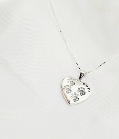 Collar Pet Friendly - comprar online