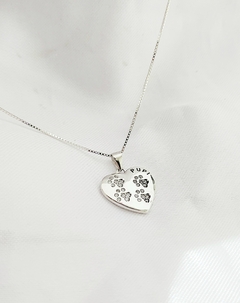 Collar Pet Friendly