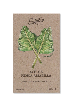 Semillas Acelga Penca Amarilla