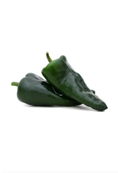 Semillas Chile Ancho Poblano en internet