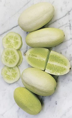 Semillas Pepino Huevo de Dragón - tienda online