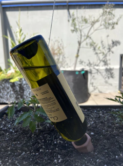 Risoma - 2 Pico autoriego en internet