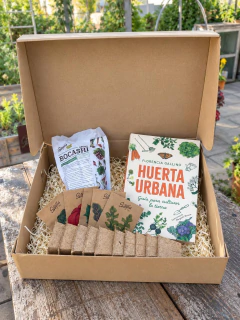 Box Libro - comprar online