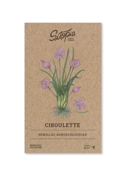 Semillas Ciboulette