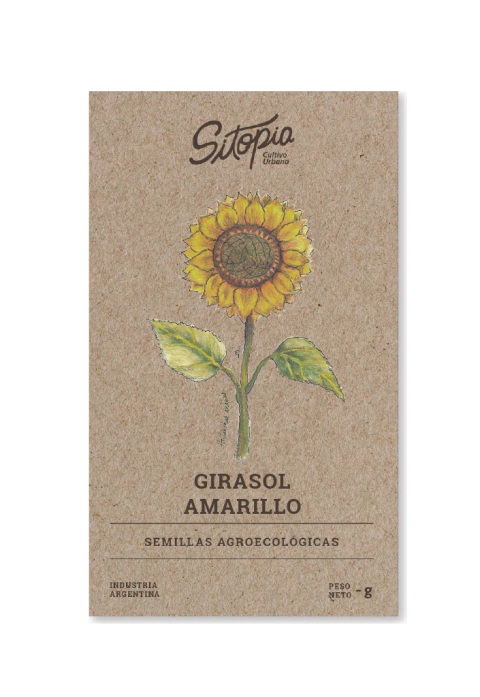 Semillas Girasol Amarillo