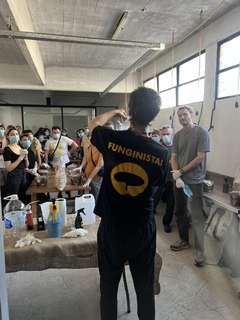 Imagen de Taller Presencial Cultivo Hongos