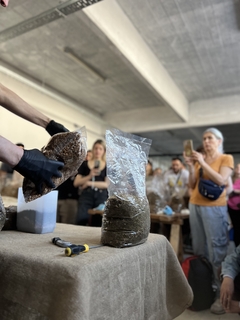 Taller Presencial Cultivo Hongos - comprar online