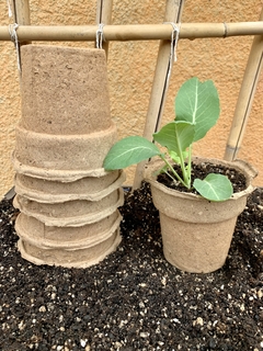 Macetas Biodegradables GRANDES (pack 5 unidades) - SITOPIA