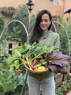 Asesoría PERSONAL Huerta