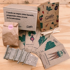 KIT Huerta Todo el Año - comprar online