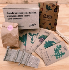 KIT Huerta en Macetas - comprar online