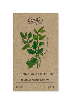 Semillas Espinaca Rastrera