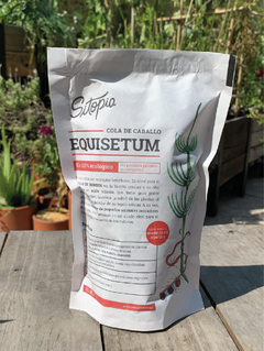 Control Hongos - Equisetum