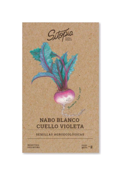 Semillas Nabo Blanco Cuello Violeta - comprar online