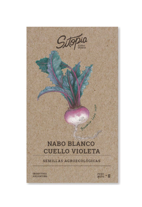 Semillas Nabo Blanco Cuello Violeta