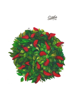 Semillas Mini Aji de Colores - comprar online