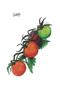 Semillas Tomate Cherry Rojo - comprar online