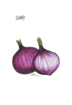 Semillas Cebolla Morada - comprar online