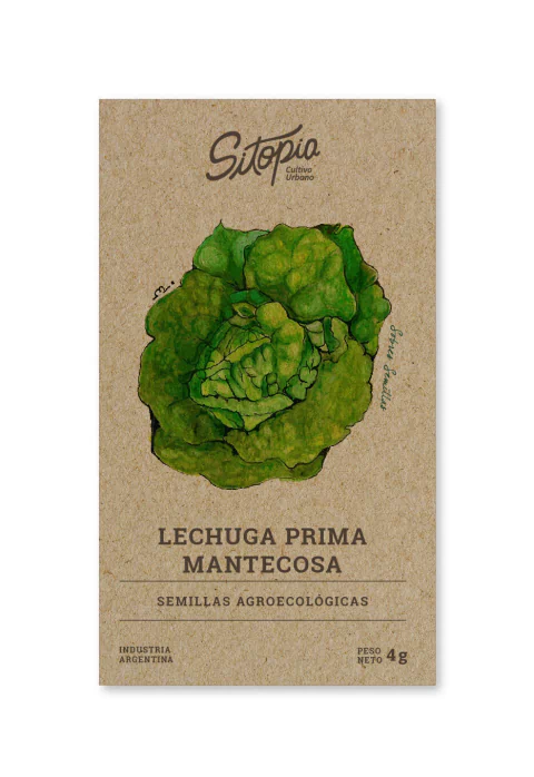 Semillas Lechuga Prima Mantecosa