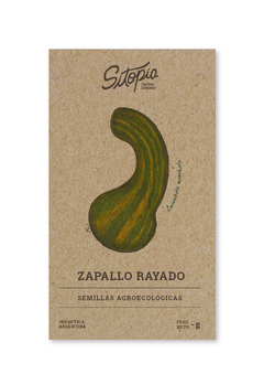 Semillas Zapallo Rayado