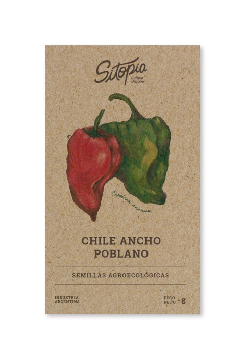 Semillas Chile Ancho Poblano